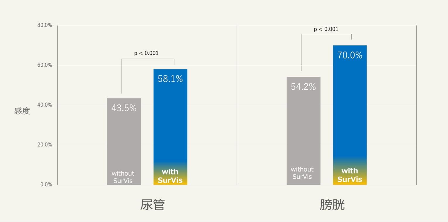 比較条件